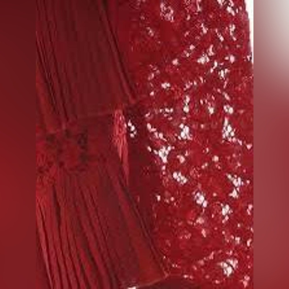 J. Crew Red Lace Ruffle Blouse - Picture 4 of 6